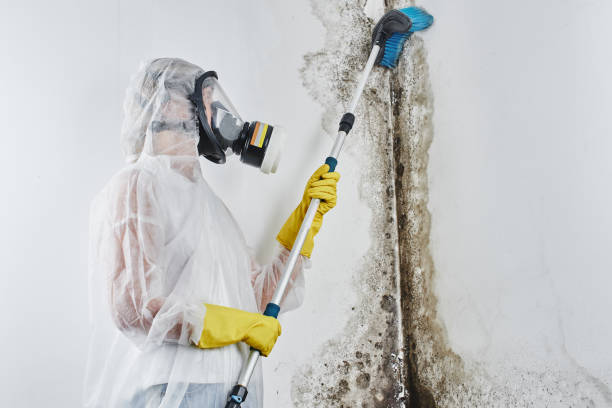 Mold Removal for HVAC Installations in Larkfield Wikiup, CA